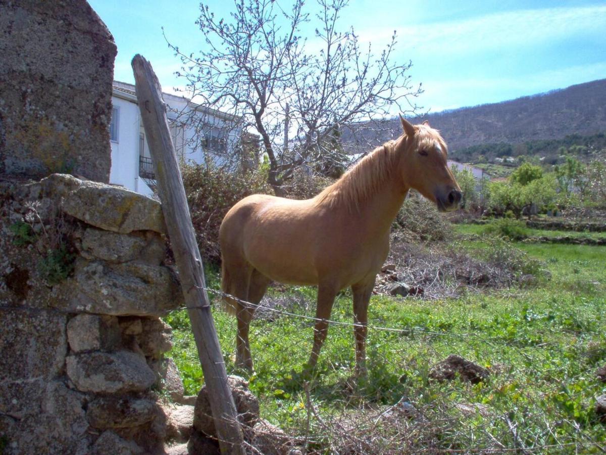 Casa Rural Cristina III San Pablo de los Montes Kültér fotó